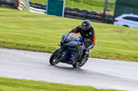 Oulton-Park-14th-March-2020;PJ-Motorsport-Photography-2020;anglesey;brands-hatch;cadwell-park;croft;donington-park;enduro-digital-images;event-digital-images;eventdigitalimages;mallory;no-limits;oulton-park;peter-wileman-photography;racing-digital-images;silverstone;snetterton;trackday-digital-images;trackday-photos;vmcc-banbury-run;welsh-2-day-enduro